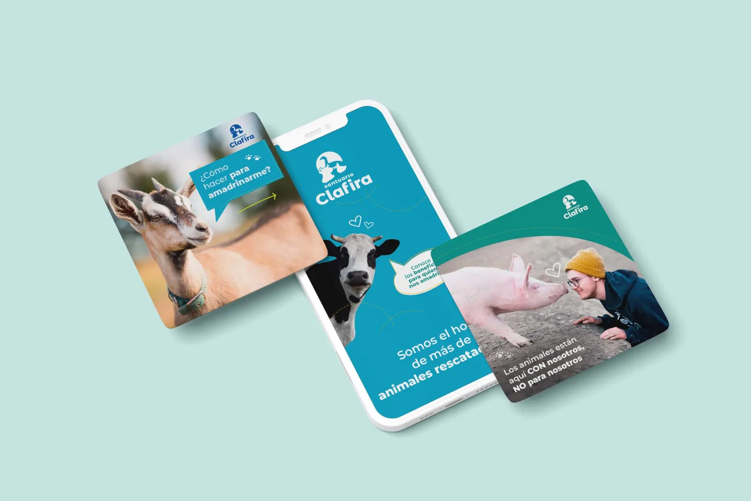 amadrinar animales santuario clafira