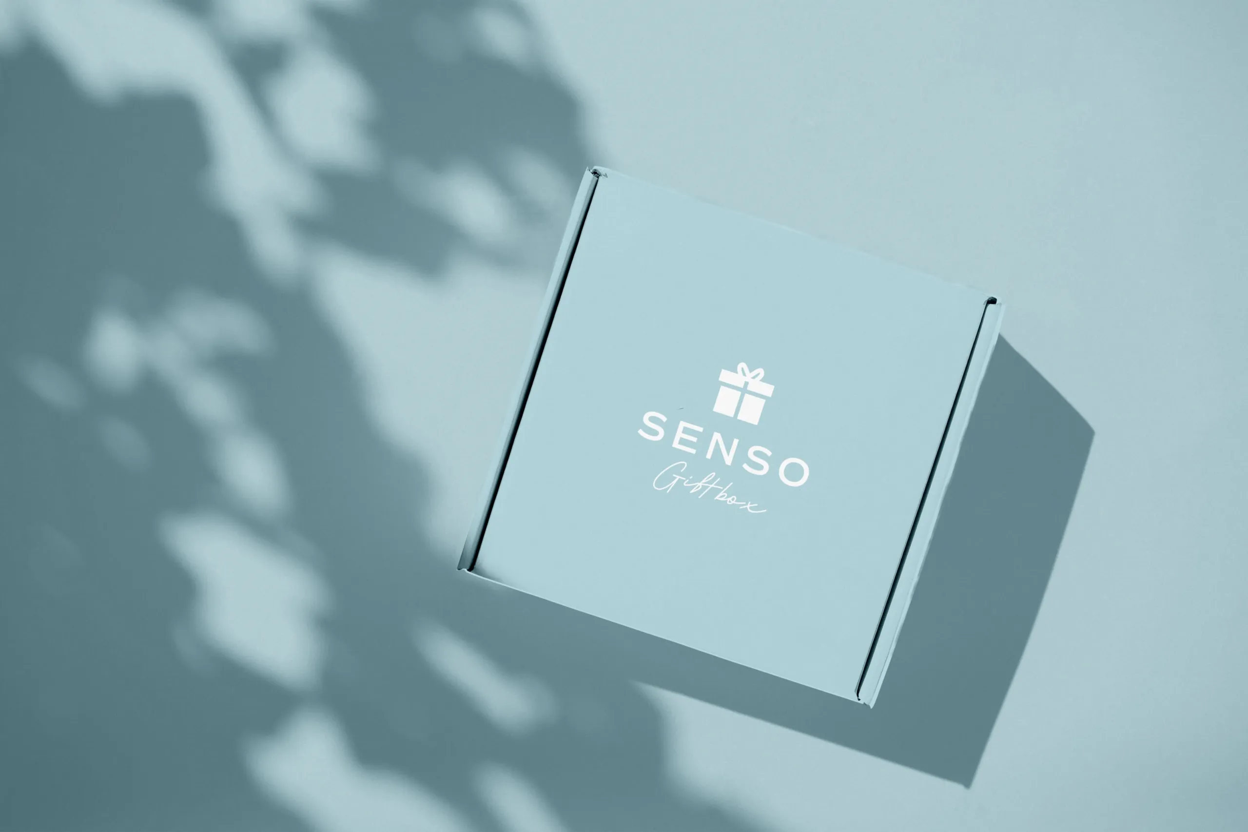 White Square Box Mockup copia